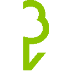 BrightView Holdings, Inc. logo