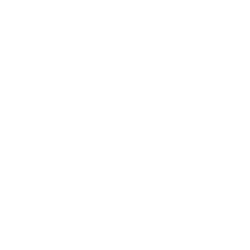 Dlocal Limited logo