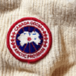 Canada Goose Holdings Inc. logo