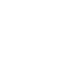 Shoulder Innovations, Inc. logo