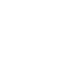 VanEck Semiconductor ETF logo