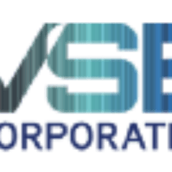 VSE Corporation logo