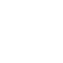 WillScot Holdings Corporation logo