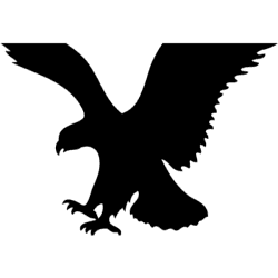 American Eagle Outfitters, Inc. logo