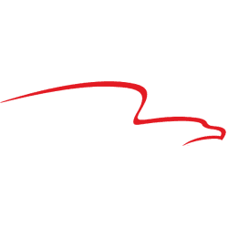 American Financial Group, Inc. logo