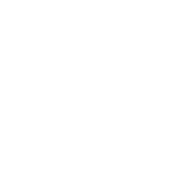 Torrid Holdings Inc. logo