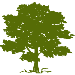 Community Health Systems, Inc. logo