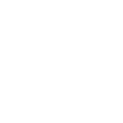 Main Street Capital Corporation logo