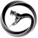 Viper Energy, Inc. logo