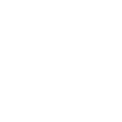 XPeng Inc. logo